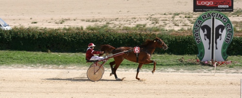 Race 8 confirmed result