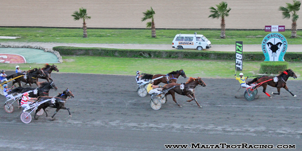 Race 7 confirmed result