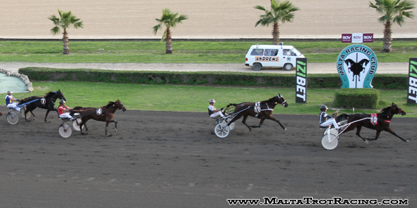 Race 7 confirmed result