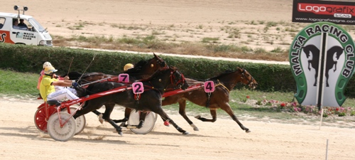 Race 5 confirmed result