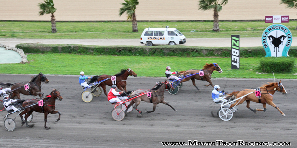Race 5 confirmed result