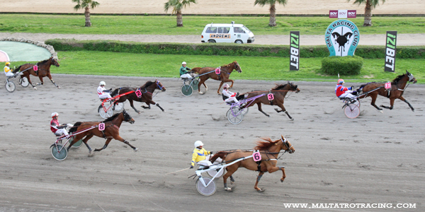 Race 5 confirmed result