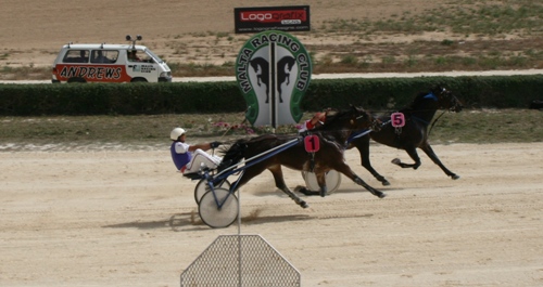 Race 5 confirmed result