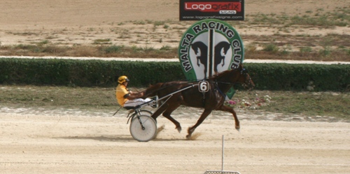 Race 7 confirmed result