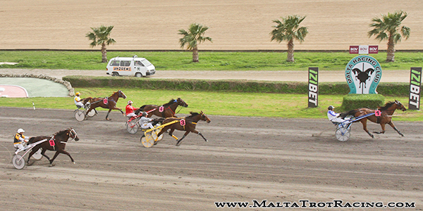 Race 5 confirmed result