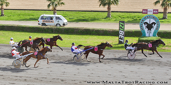 Race 5 confirmed result