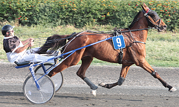 Race 5 confirmed result