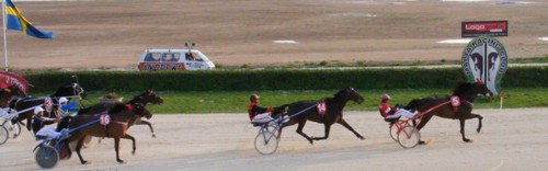 Race 8 confirmed result