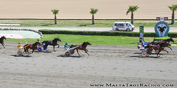 Race 5 confirmed result