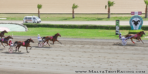 Race 5 confirmed result