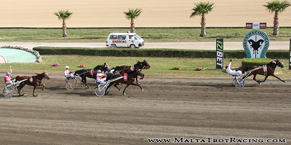 Race 8 confirmed result