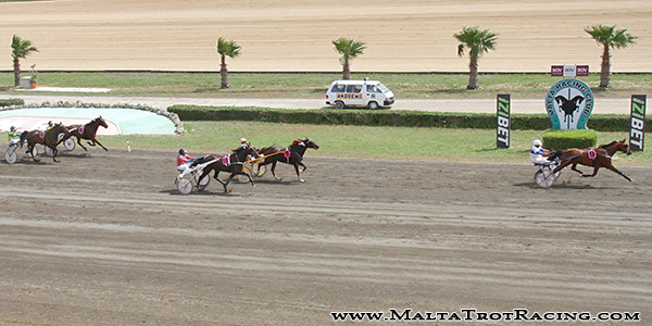 Race 5 confirmed result