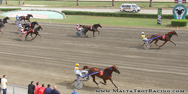 Race 8 confirmed result