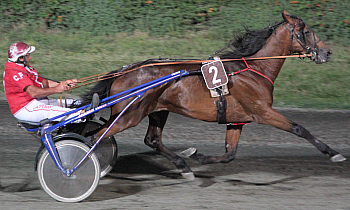 Race 5 confirmed result