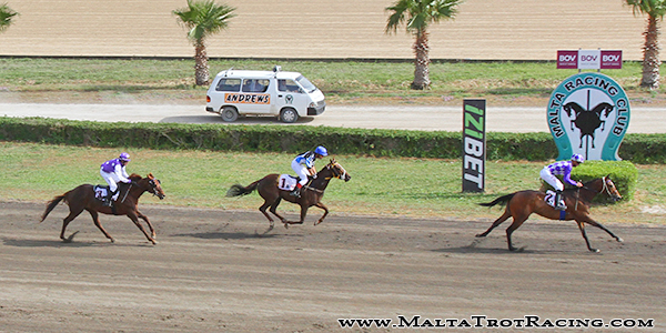 Race 7 confirmed result