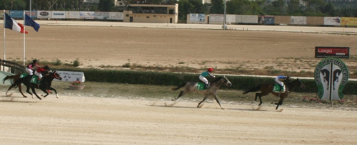 Race 8 confirmed result