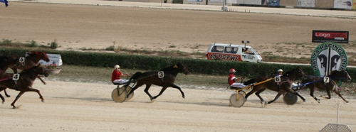 Race 10 confirmed result