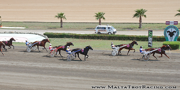 Race 5 confirmed result