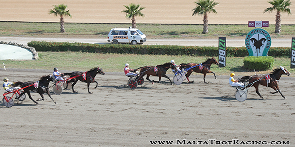 Race 8 confirmed result