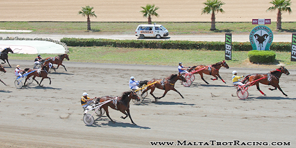 Race 7 confirmed result