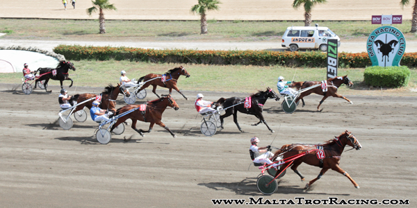 Race 8 confirmed result