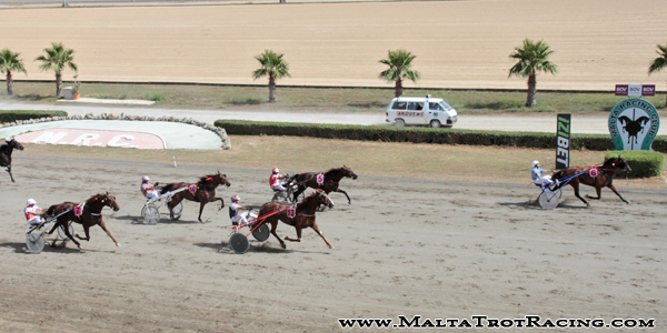 Race 5 confirmed result
