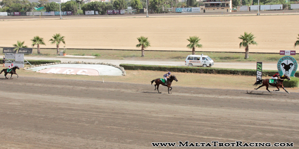 Race 7 confirmed result