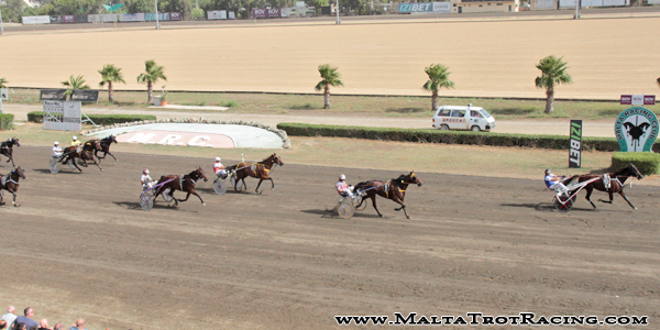 Race 7 confirmed result