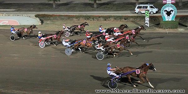 Race 5 confirmed result