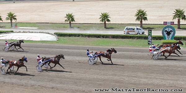 Race 7 confirmed result
