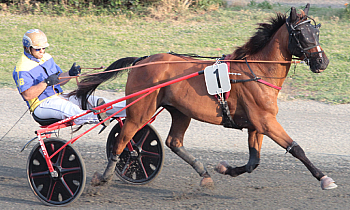 Race 4 confirmed result