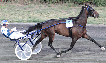 Race 5 confirmed result