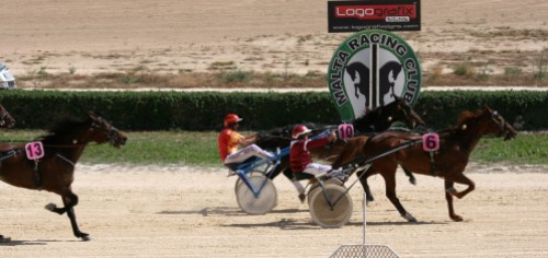 Race 5 confirmed result