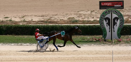 Race 6 confirmed result