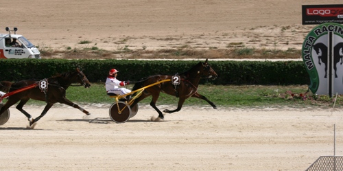 Race 7 confirmed result
