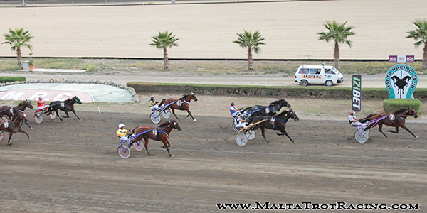 Race 7 confirmed result