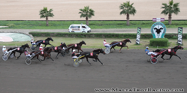 Race 8 confirmed result