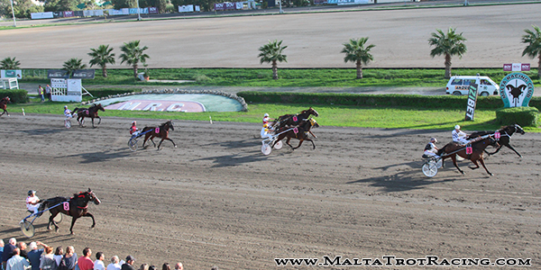 Race 5 confirmed result