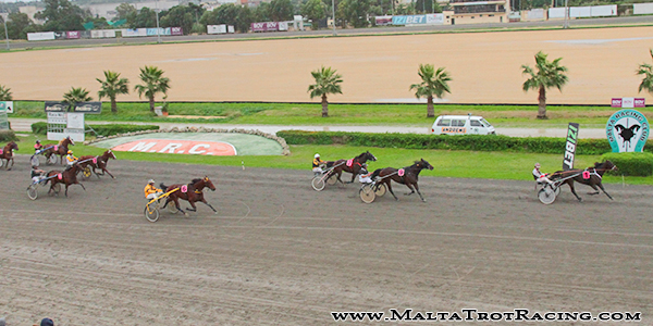 Race 5 confirmed result
