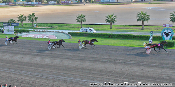 Race 5 confirmed result