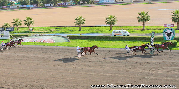 Race 5 confirmed result