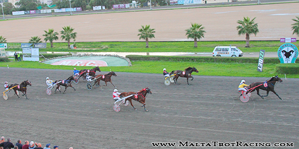 Race 8 confirmed result