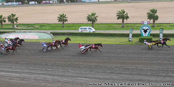 Race 5 confirmed result