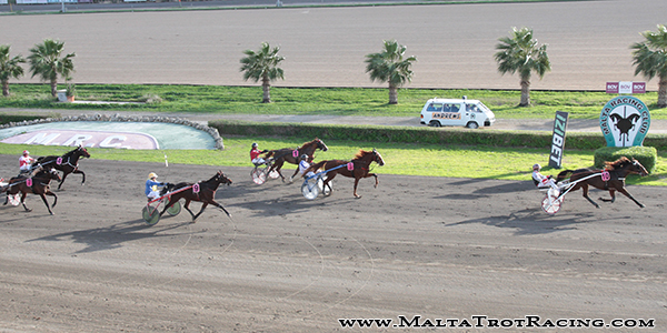 Race 5 confirmed result