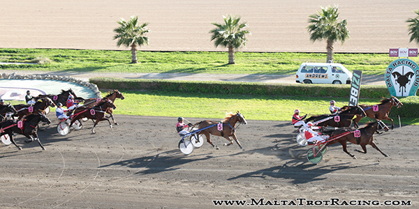 Race 5 confirmed result