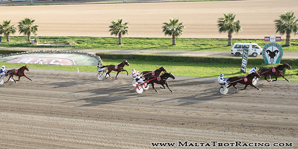 Race 5 confirmed result