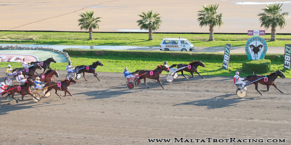 Race 5 confirmed result
