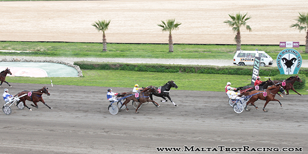 Race 5 confirmed result