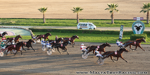Race 8 confirmed result