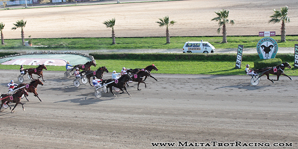 Race 5 confirmed result